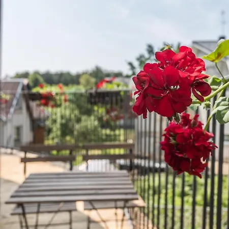 Liepu 16 Апартаменты Паланга