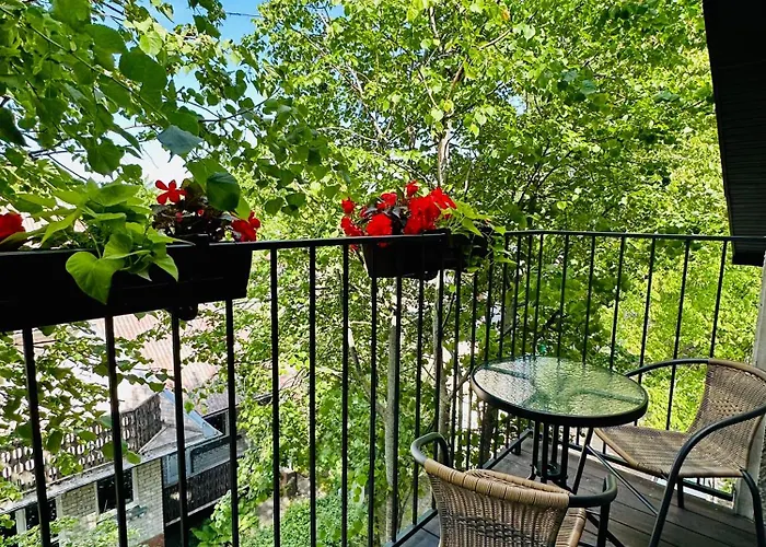 Апартаменты Liepu 16 *