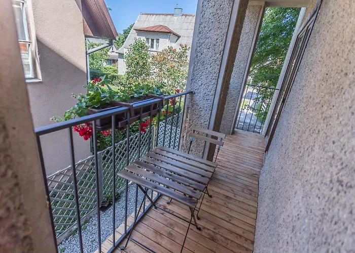 Liepu 16 * פלאנגה