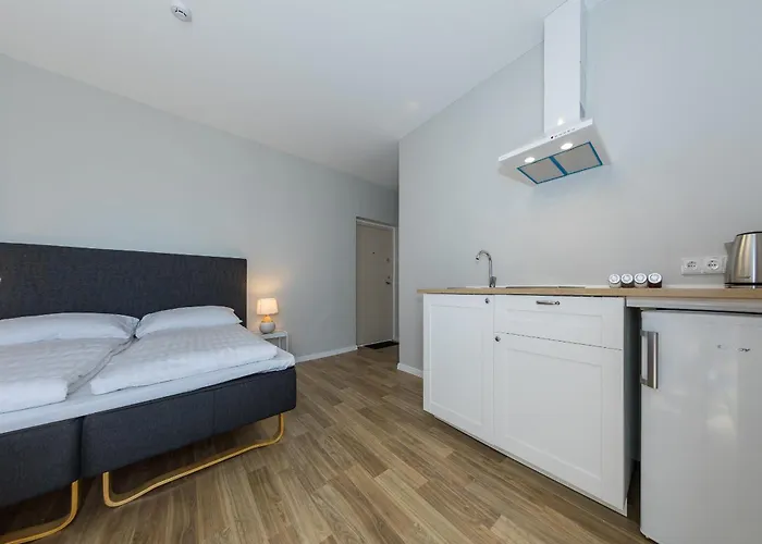 Liepu 16 * פלאנגה