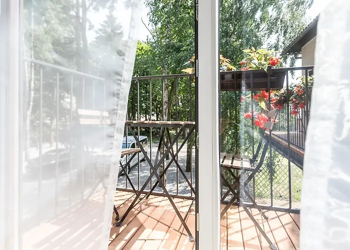 Liepu 16 بالانغا