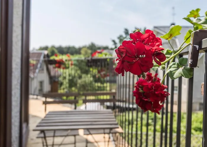 Liepu 16 شقة بالانغا